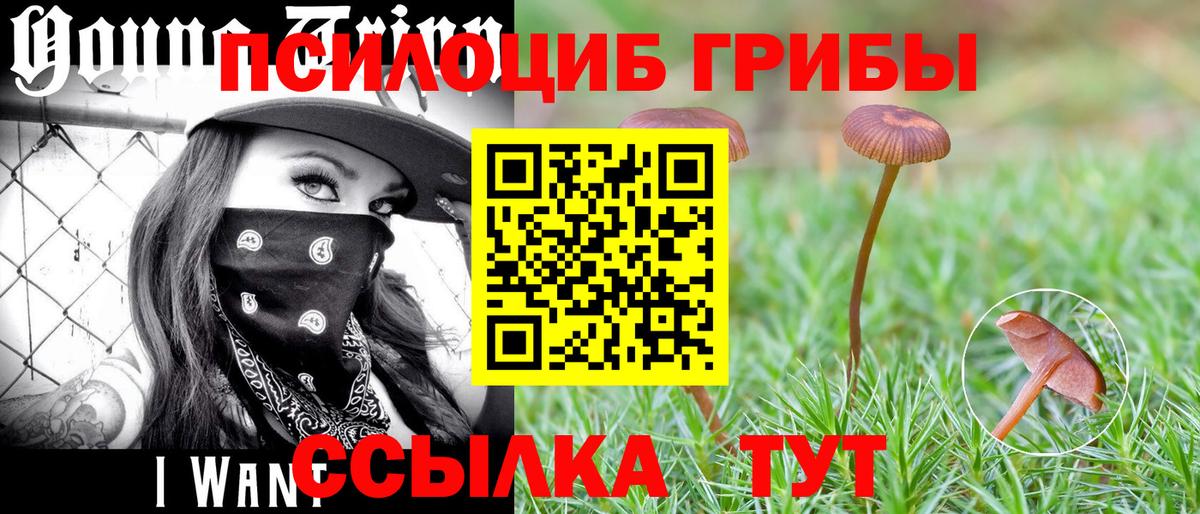 Галлюциногенные грибы ЛСД Рославль