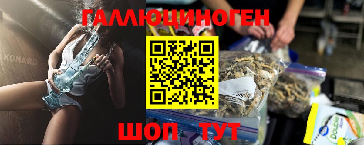 Псилоцибиновые грибы Cubensis  Вход с VPN  Галлюциногенные грибы прущие грибы  Рославль 